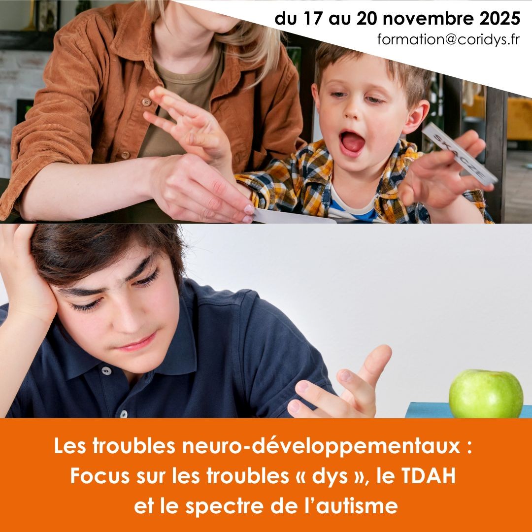 Formation Les TDN Focus sur les troubles DYS le TDAH et le trouble du spectre autistique